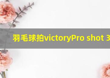 羽毛球拍victoryPro shot 318